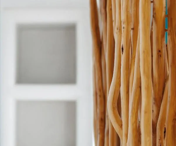 아파트 Kallidora *